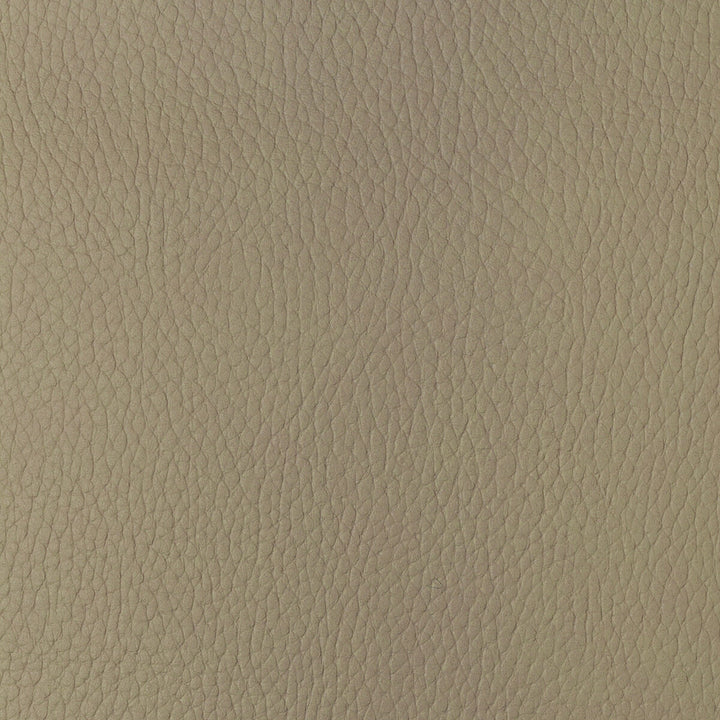 Sugarmaple-16 by Kravet Design Fabric POLYCARBONATE - 100% Japan HEAVY Horizontal: 0 and Vertical: 0 54 - Fabric Carolina -