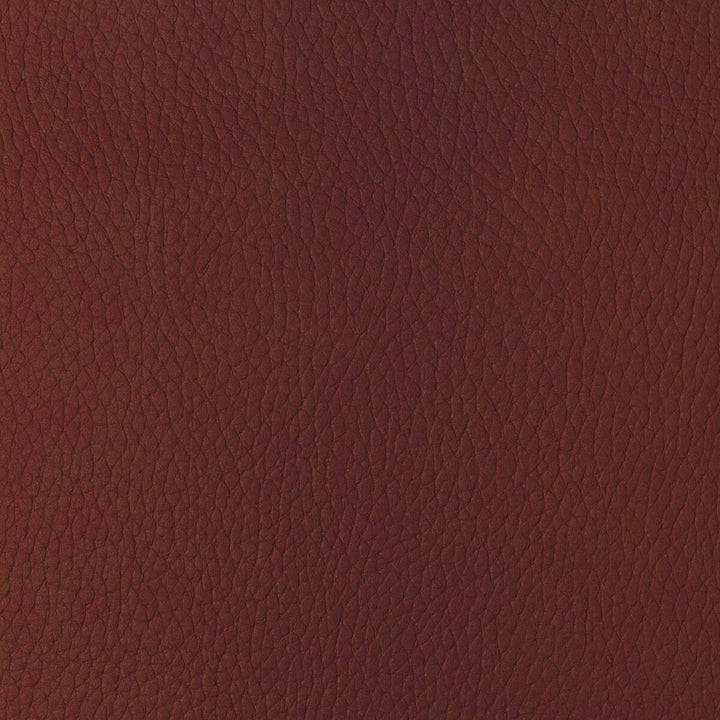 Sugarmaple-19 by Kravet Design Fabric POLYCARBONATE - 100% Japan HEAVY Horizontal: 0 and Vertical: 0 54 - Fabric Carolina -