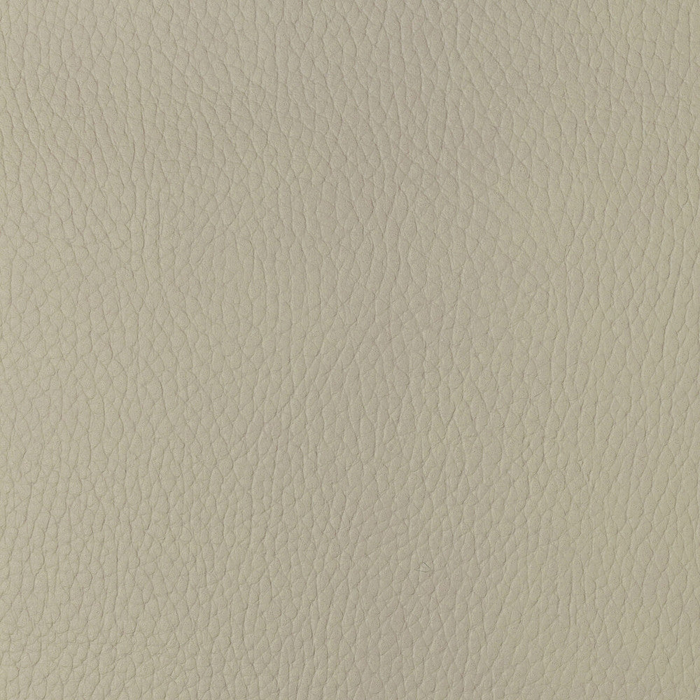 Sugarmaple-1 by Kravet Design Fabric POLYCARBONATE - 100% Japan HEAVY Horizontal: 0 and Vertical: 0 54 - Fabric Carolina -