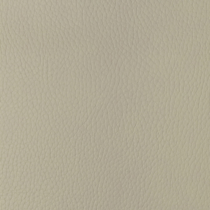 Sugarmaple-1 by Kravet Design Fabric POLYCARBONATE - 100% Japan HEAVY Horizontal: 0 and Vertical: 0 54 - Fabric Carolina -
