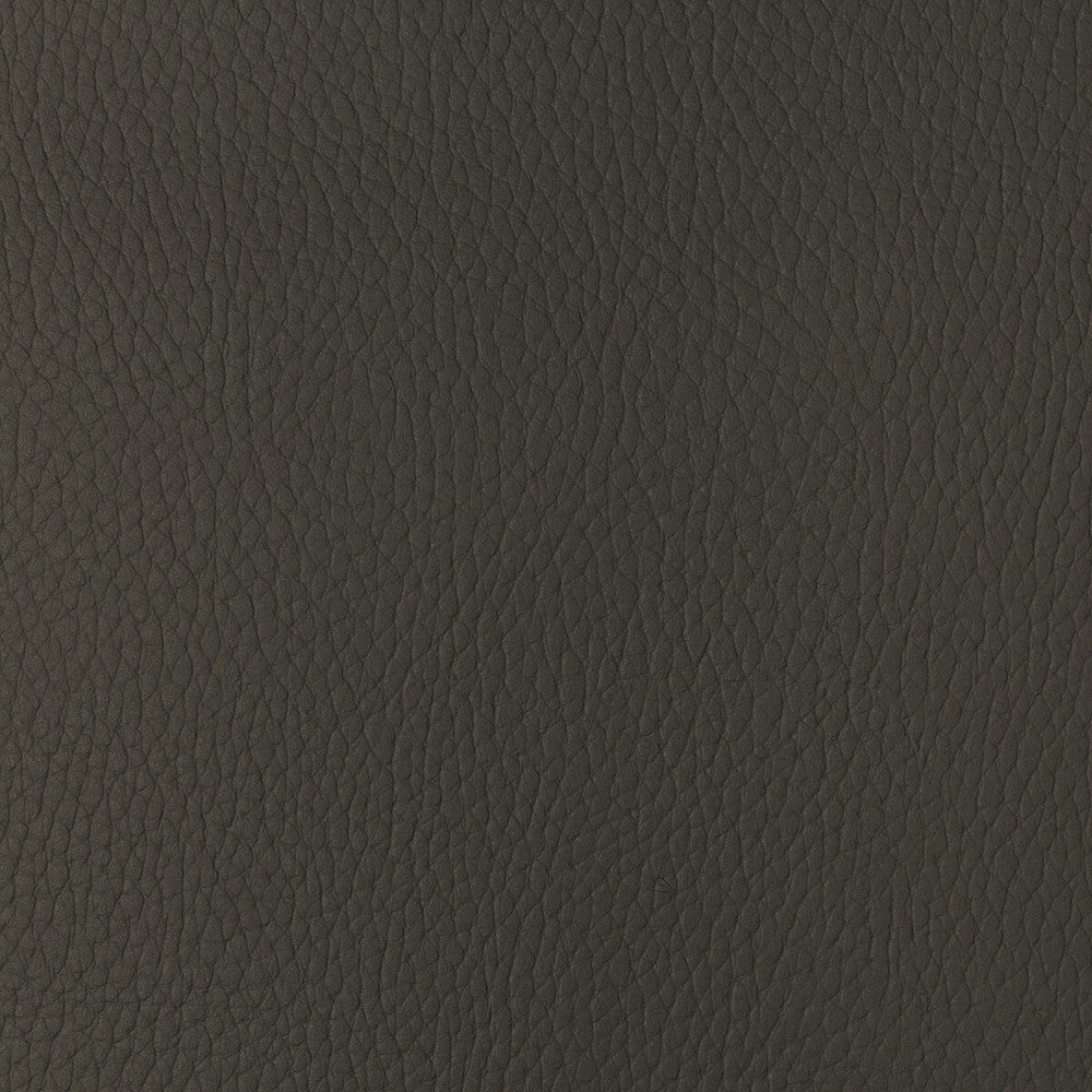Sugarmaple-6 by Kravet Design Fabric POLYCARBONATE - 100% Japan HEAVY Horizontal: 0 and Vertical: 0 54 - Fabric Carolina -