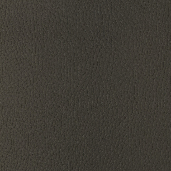 Sugarmaple-6 by Kravet Design Fabric POLYCARBONATE - 100% Japan HEAVY Horizontal: 0 and Vertical: 0 54 - Fabric Carolina -