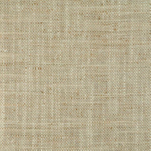 Sumo Sand 213 by Norbar Designer Fabric ARENA 100% POLYESTER INDIA 54" - Swanky Fabrics -