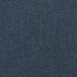 11500-0010 Revive Indigo by Sunbrella Fabric