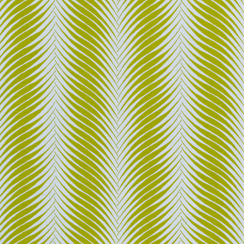 146205-0001 Clock Out Frond by Sunbrella Fabric Sunbrella 100% Sunbrella Solution Dyed Acrylic 77,500 Double Rubs (Wyzenbeek) </p><p>Repeat: Horizontal: 14 in. (35.56 cm) across the roll and Vertical: 6.67 in. (16.94 cm) up the roll 54 in. (137 cm) - Fabric Carolina -