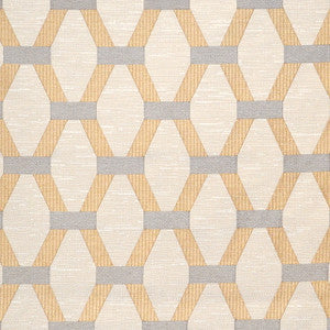 Suplee Coin by Magnolia Fabric