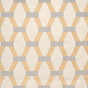 Suplee Coin by Magnolia Fabric