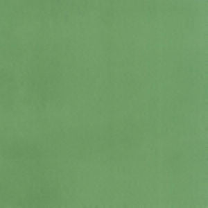 Supra Citron 43 by Norbar Fabric SUPRA SUEDE 75% POLYESTER 25% COTTON SPAIN 54" - Fabric Carolina -