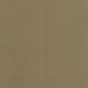 Supra Cognac 12 by Norbar Fabric SUPRA SUEDE 75% POLYESTER 25% COTTON SPAIN 54" - Fabric Carolina -