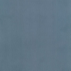 Supra Lakeland 15 by Norbar Fabric SUPRA SUEDE 75% POLYESTER 25% COTTON SPAIN 54" - Fabric Carolina -