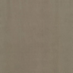 Supra Latte 09 by Norbar Designer Fabric SUPRA SUEDE 75% POLYESTER 25% COTTON SPAIN 54" - Swanky Fabrics -