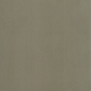 Supra Mink 81 by Norbar Designer Fabric SUPRA SUEDE 75% POLYESTER 25% COTTON SPAIN 54" - Swanky Fabrics -