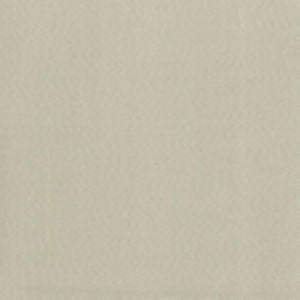 Supra Natural 01 by Norbar Fabric