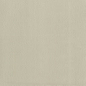 Supra Natural 01 by Norbar Fabric