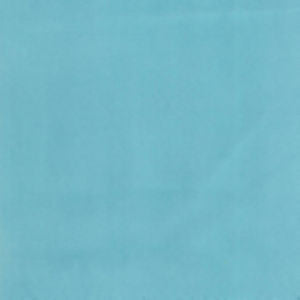 Supra Spa 39 by Norbar Fabric SUPRA SUEDE 75% POLYESTER 25% COTTON SPAIN 54" - Fabric Carolina -