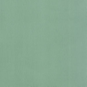 Supra Sprout 60 by Norbar Designer Fabric SUPRA SUEDE 75% POLYESTER 25% COTTON SPAIN 54" - Swanky Fabrics -