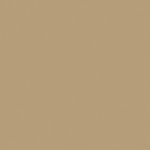 Surfside SF91 Tan by Naugahyde Fabric