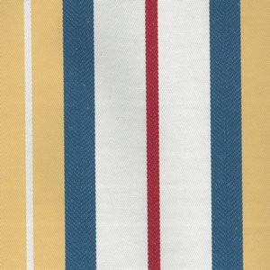 Surrey Yellow by Norbar Fabric 54% COTTON 46% POLYESTER ITALY 50,000 WYZENBEEK </p><p>Repeat: 6 3/4"H 54 - Fabric Carolina -