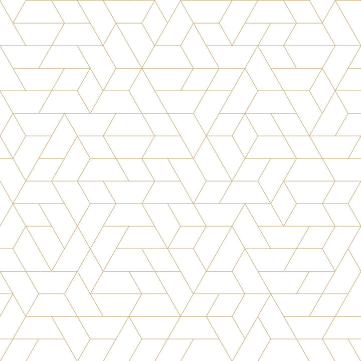 by Inspired by Color Black & White Resource Library - Fabric Carolina -
