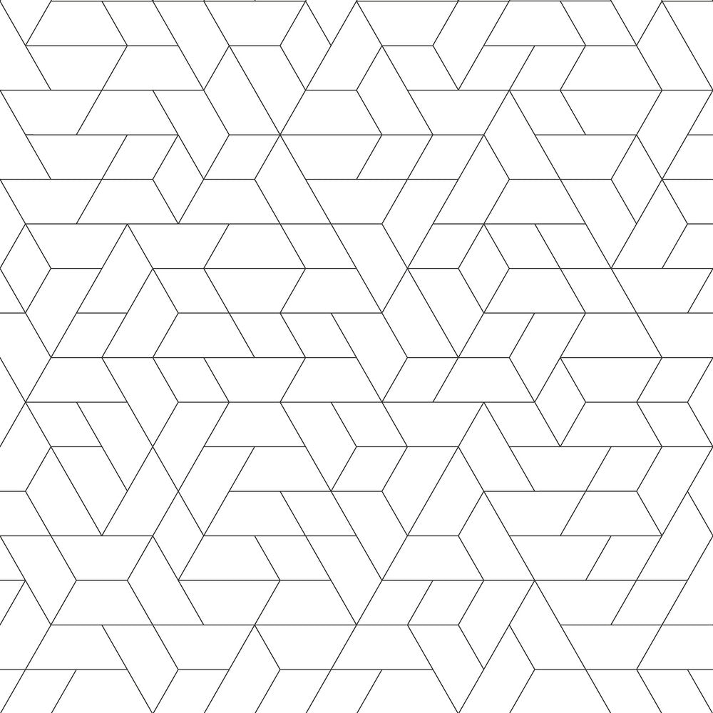 Point of View Black Wallpaper by Inspired by Color Black & White, III Covers about 56.4 square feet 20.5-in by 33-ft long roll Prepasted 20.5 - Fabric Carolina -