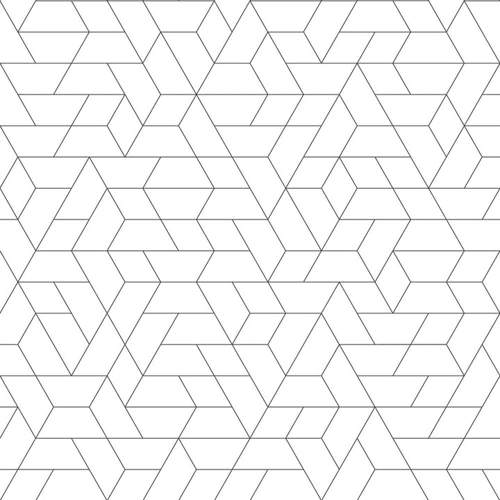 Point of View Black Wallpaper by Inspired by Color Black & White, III Covers about 56.4 square feet 20.5-in by 33-ft long roll Prepasted 20.5 - Fabric Carolina -