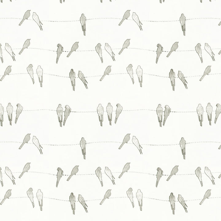 Swallow 1 Dove by Stout Fabric Stout Fabric Swallow 1 DoveFabric COMFORTABLE LIVING SMOKE/CINDER INDIA </p><p>Repeat: H: 12.500, V: 15.500 52 in - Fabric Carolina -