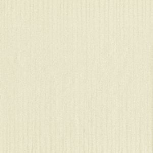 Swan Blizzard by Norbar Fabric 100% POLYURETHANE KOREA 54" - Fabric Carolina -