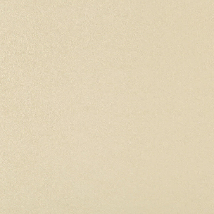 Swaps-116 by Kravet Design Designer Fabric POLY VINYL CHLORIDE - 79%;POLYESTER - 21% China HEAVY Horizontal: and Vertical: 54 - Swanky Fabrics -
