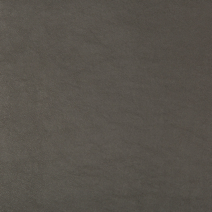 Swaps-21 by Kravet Design Fabric - POLY VINYL CHLORIDE - 79%;POLYESTER - 21% China HEAVY Horizontal: - and Vertical: - 54 - Fabric Carolina -