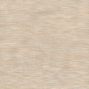 Sweden Beige 201 by Norbar Fabric BALBOA 75% POLYESTER 25% VISCOSE INDIA 54 - Fabric Carolina -