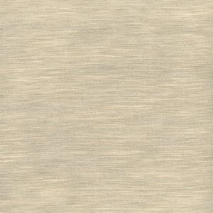 Sweden Latte 045 by Norbar Fabric BALBOA 75% POLYESTER 25% VISCOSE INDIA 54 - Fabric Carolina -