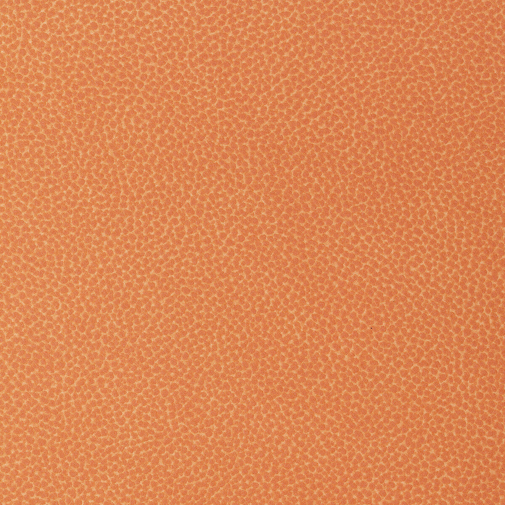Sweetgum-12 by Kravet Design Fabric POLYCARBONATE - 100% Japan HEAVY Horizontal: 0 and Vertical: 0 54 - Fabric Carolina -