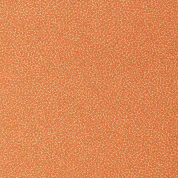 Kravet Design Sweetgum-12 by Kravet Design Fabric Kravet Design Fabric Kravet Design Sweetgum-12Fabric POLYCARBONATE - 100% Japan </p><p>Repeat: H: 0, V: 0 54 - Fabric Carolina -