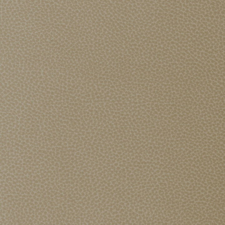 Kravet Design Sweetgum-16 by Kravet Design Fabric Kravet Design Fabric Kravet Design Sweetgum-16Fabric POLYCARBONATE - 100% Japan </p><p>Repeat: H: 0, V: 0 54 - Fabric Carolina -