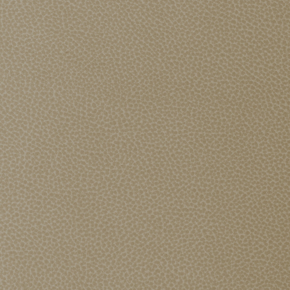 Sweetgum-16 by Kravet Design Fabric POLYCARBONATE - 100% Japan HEAVY Horizontal: 0 and Vertical: 0 54 - Fabric Carolina -