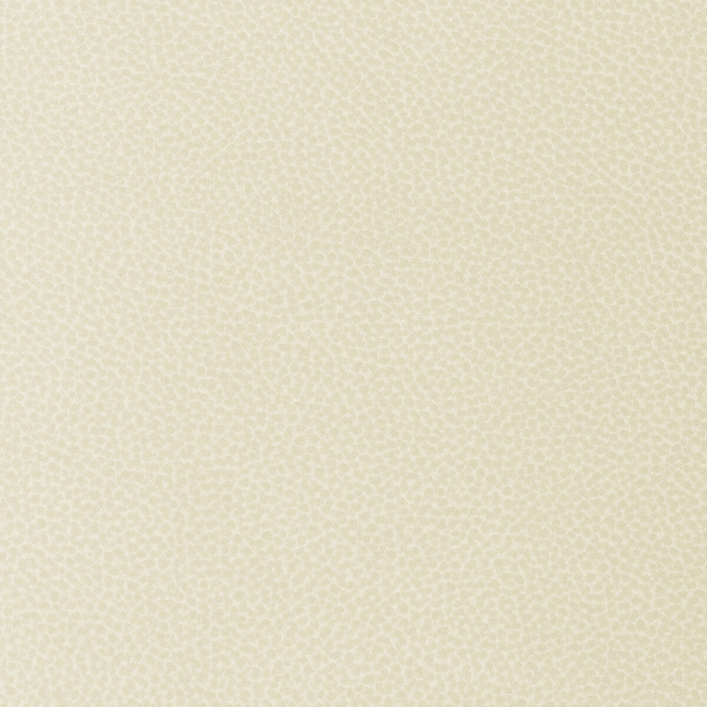 Sweetgum-1 by Kravet Design Fabric POLYCARBONATE - 100% Japan HEAVY Horizontal: 0 and Vertical: 0 54 - Fabric Carolina -