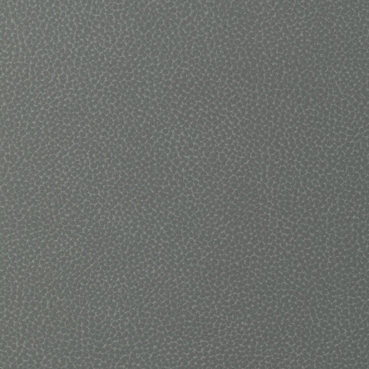 Kravet Design Sweetgum-21 by Kravet Design Fabric Kravet Design Fabric Kravet Design Sweetgum-21Fabric POLYCARBONATE - 100% Japan </p><p>Repeat: H: 0, V: 0 54 - Fabric Carolina -