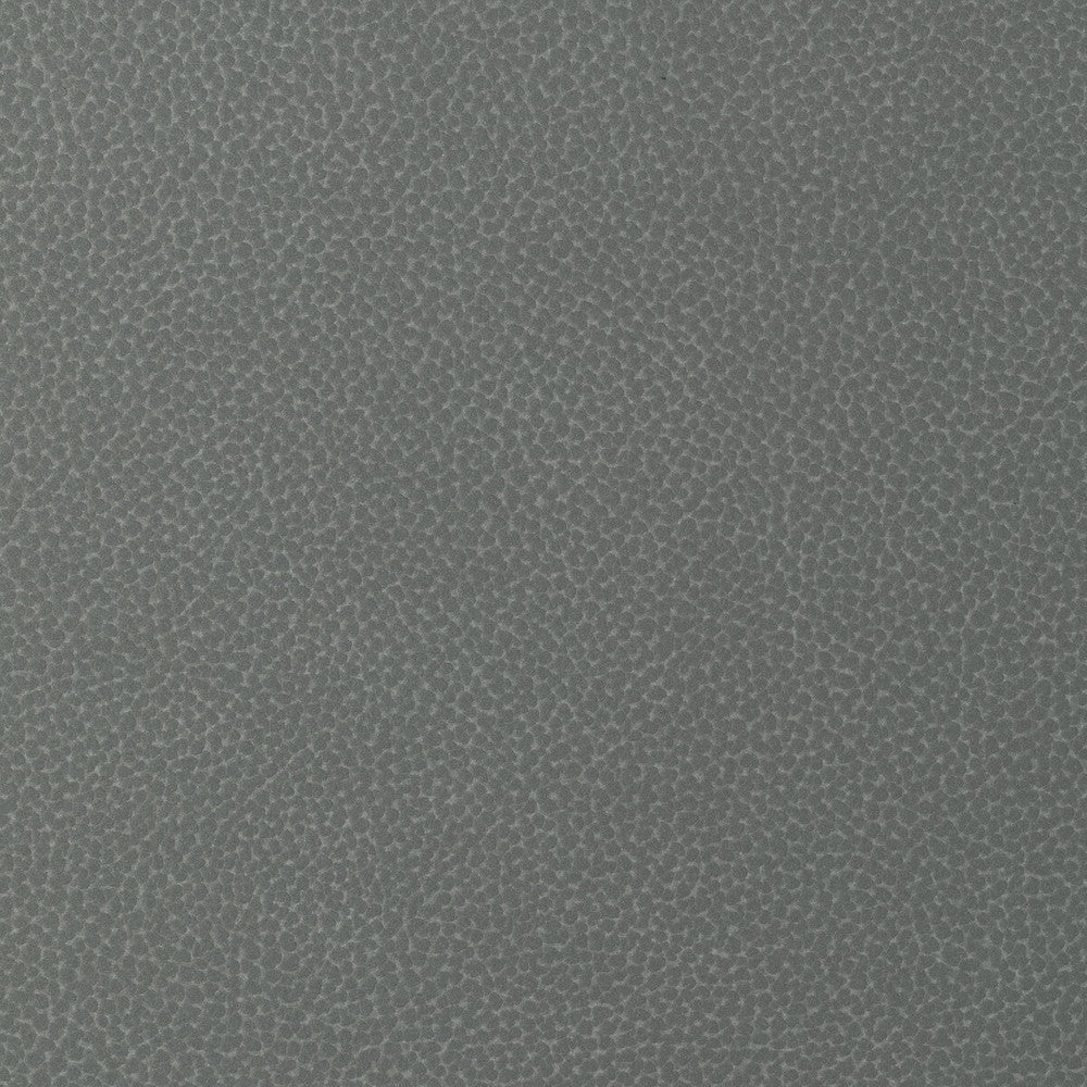 Sweetgum-21 by Kravet Design Fabric POLYCARBONATE - 100% Japan HEAVY Horizontal: 0 and Vertical: 0 54 - Fabric Carolina -