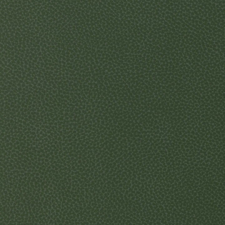Sweetgum-30 by Kravet Design Fabric POLYCARBONATE - 100% Japan HEAVY Horizontal: 0 and Vertical: 0 54 - Fabric Carolina -