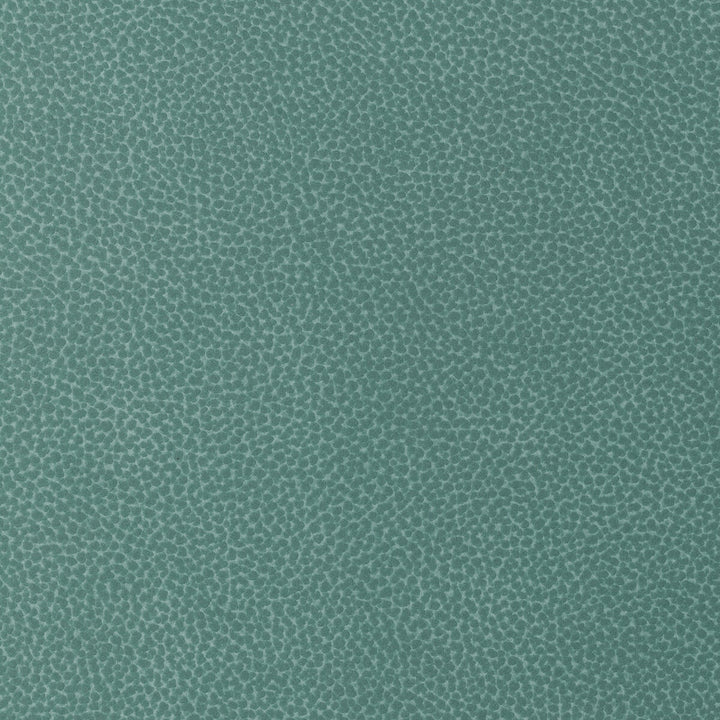 Sweetgum-313 by Kravet Design Fabric POLYCARBONATE - 100% Japan HEAVY Horizontal: 0 and Vertical: 0 54 - Fabric Carolina -
