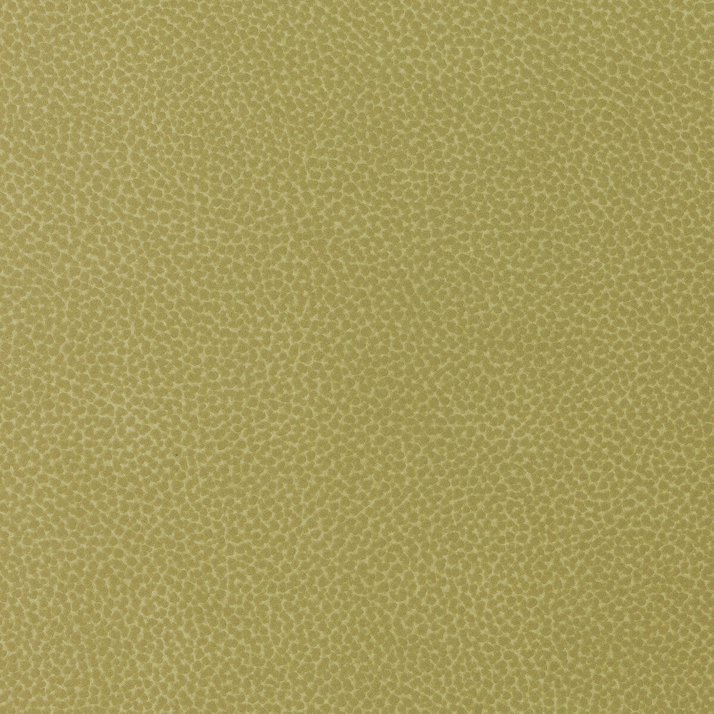 Sweetgum-340 by Kravet Design Fabric POLYCARBONATE - 100% Japan HEAVY Horizontal: 0 and Vertical: 0 54 - Fabric Carolina -