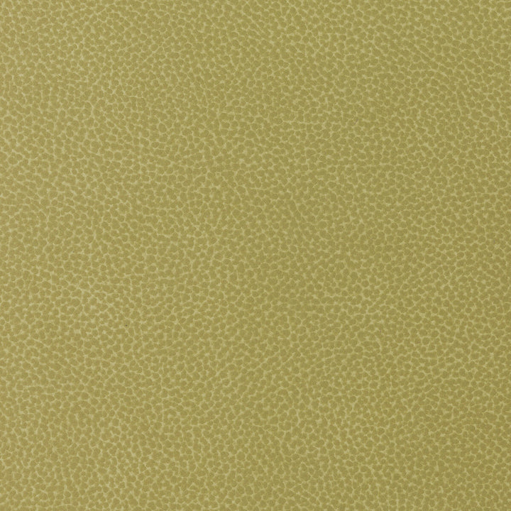 Sweetgum-340 by Kravet Design Fabric POLYCARBONATE - 100% Japan HEAVY Horizontal: 0 and Vertical: 0 54 - Fabric Carolina -