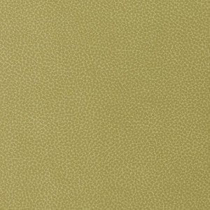 Kravet Design Sweetgum-340 by Kravet Design Fabric