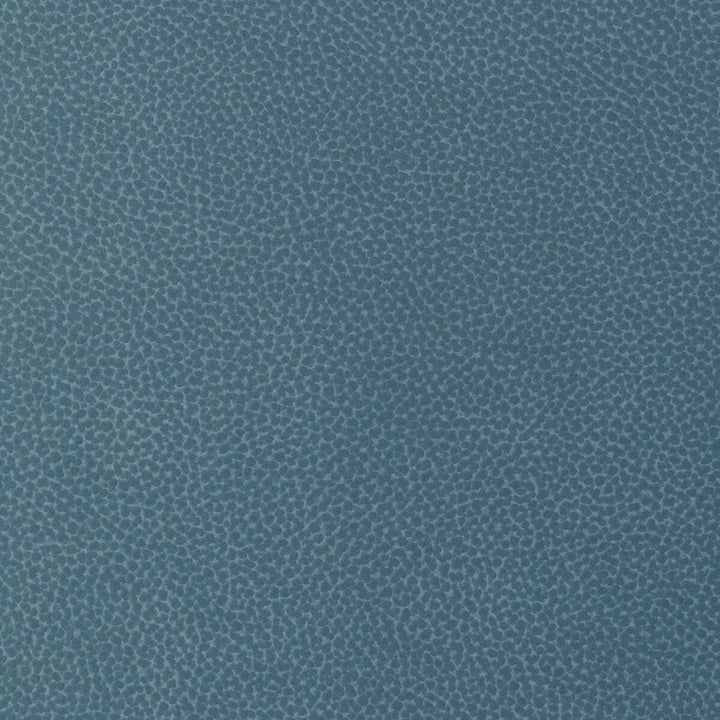 Sweetgum-5 by Kravet Design Fabric POLYCARBONATE - 100% Japan HEAVY Horizontal: 0 and Vertical: 0 54 - Fabric Carolina -