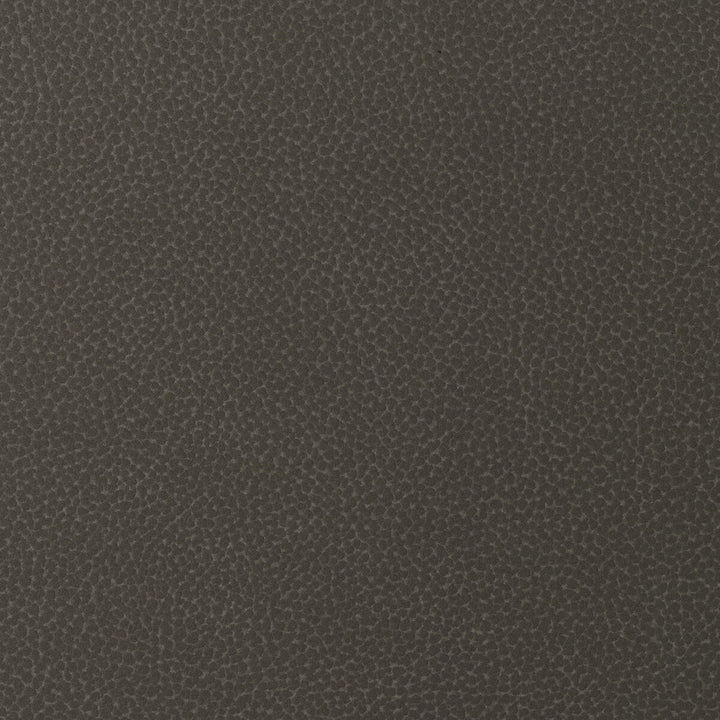 Sweetgum-86 by Kravet Design Fabric POLYCARBONATE - 100% Japan HEAVY Horizontal: 0 and Vertical: 0 54 - Fabric Carolina -