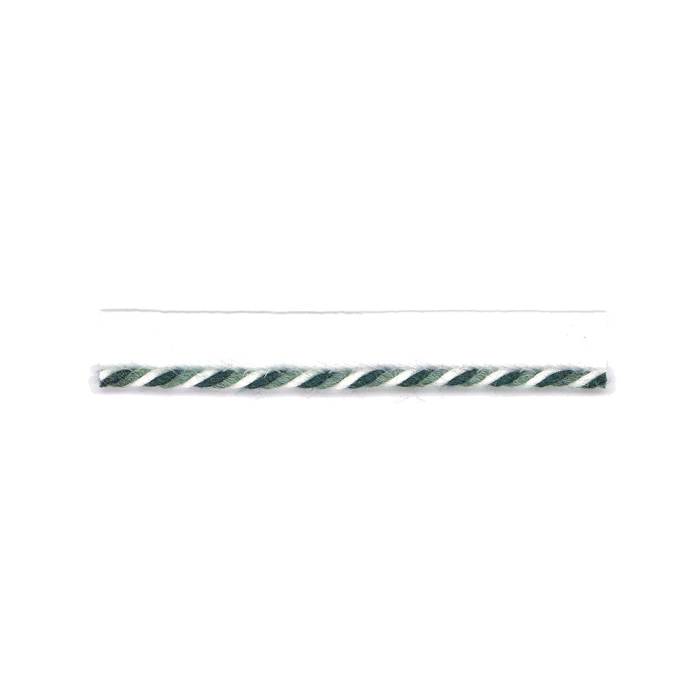 Swirl Lip Cord 3 Lagoon by Stout Trim Stout Trim Swirl Lip Cord 3 LagoonTrim BEACH GROVE TRIM 100%SDA CHINA </p><p>Repeat: H: 0.500, V: 0.000 0.13 in - Fabric Carolina -