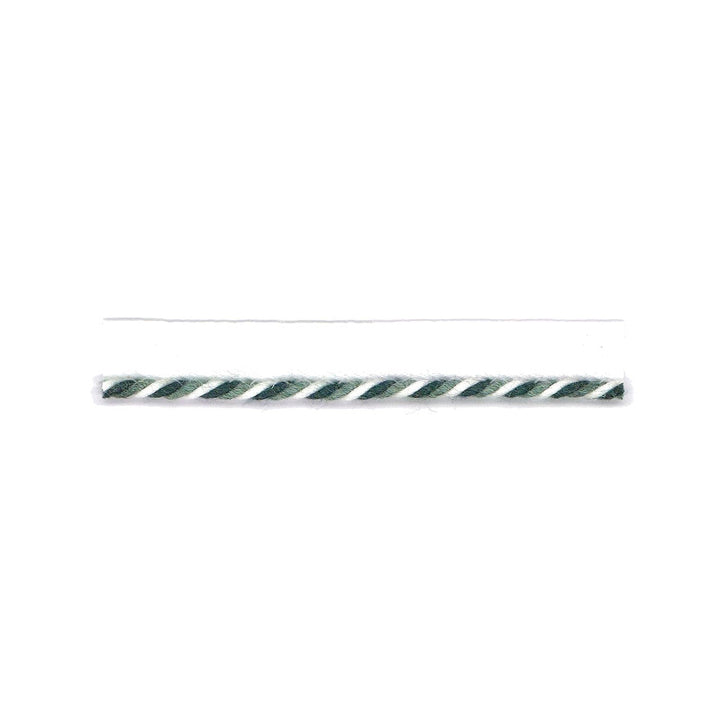 Swirl Lip Cord 3 Lagoon by Stout Trim Stout Trim Swirl Lip Cord 3 LagoonTrim BEACH GROVE TRIM 100%SDA CHINA </p><p>Repeat: H: 0.500, V: 0.000 0.13 in - Fabric Carolina -