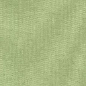 Symbol Sprout 312 by Norbar Fabric Color/GREEN-CITRUS 100% COTTON 9,000 WYZENBEEK 54" - Fabric Carolina -