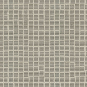 Syndicate 91 Platinum by Crypton Fabric