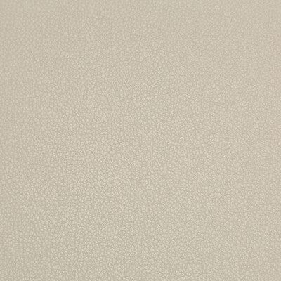 SYRUS.1116.0 by Kravet Fabric Kravet Fabric SYRUS.1116.0Fabric SILICONE - 100% China </p><p>Repeat: H: 0, V: 0 55 - Fabric Carolina -